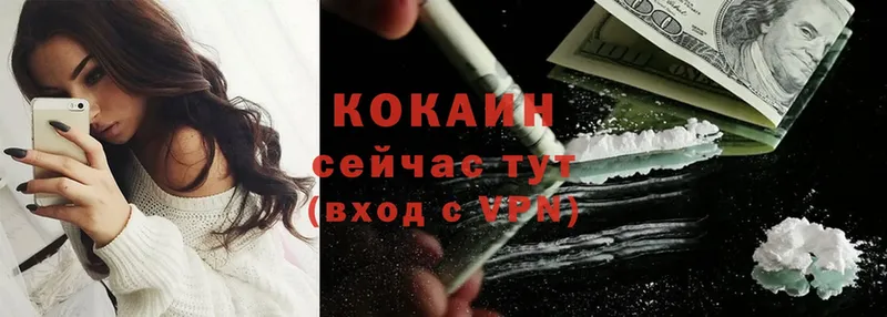 Cocaine Fish Scale Протвино