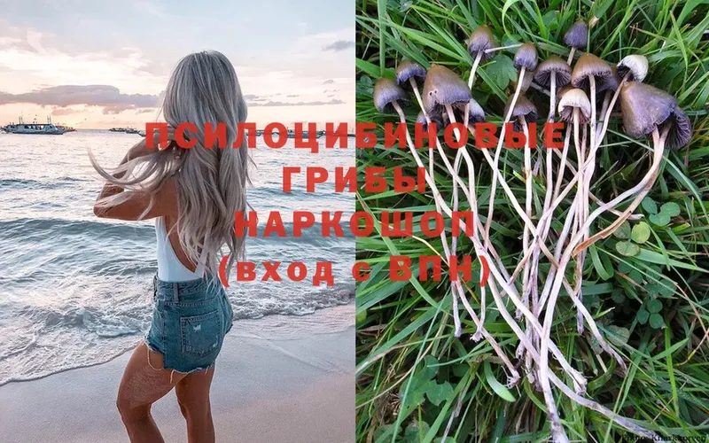 Псилоцибиновые грибы Magic Shrooms  OMG маркетплейс  Протвино  даркнет сайт 